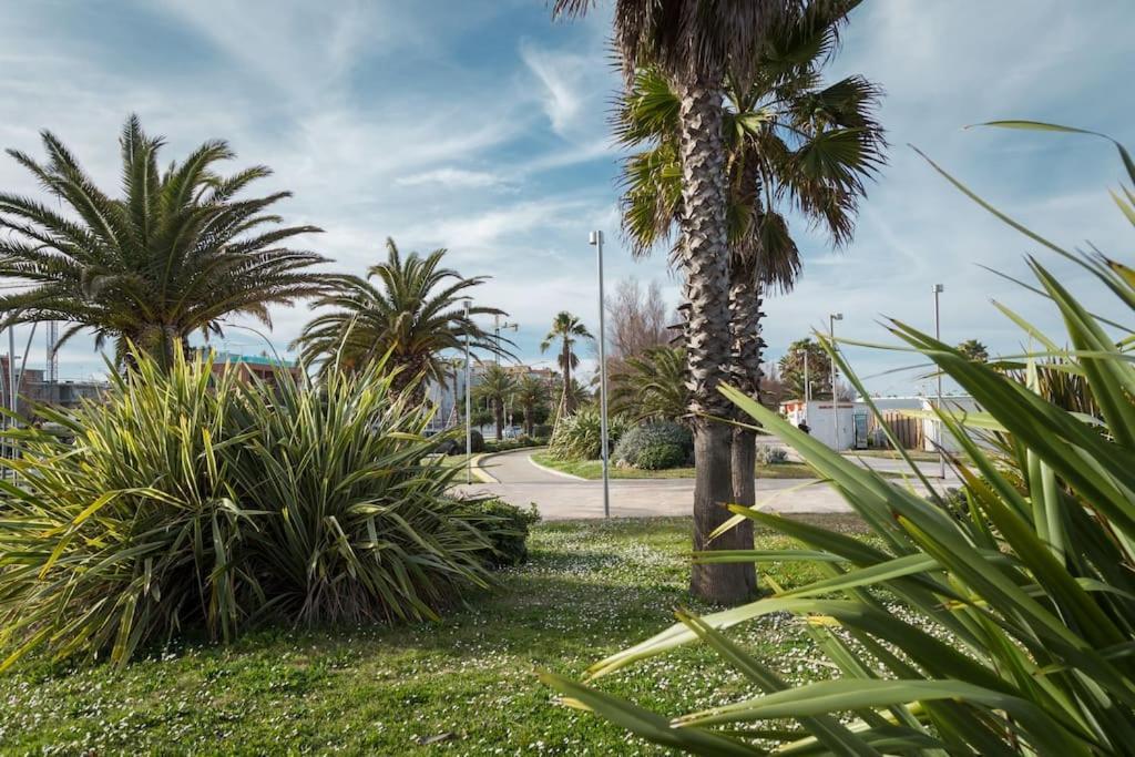 Retroscena Appartamento Mare In Centro 西维尔诺瓦·马尔凯 外观 照片